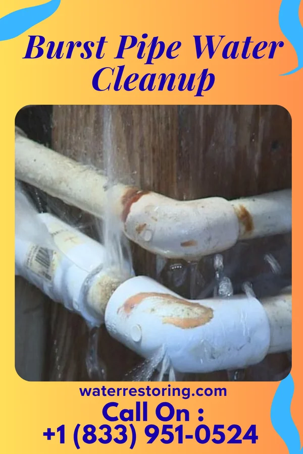 Burst Pipe Water Cleanup in Warsaw, NC